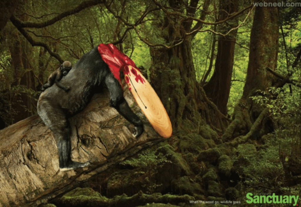 Creative Ad Design Ideas
