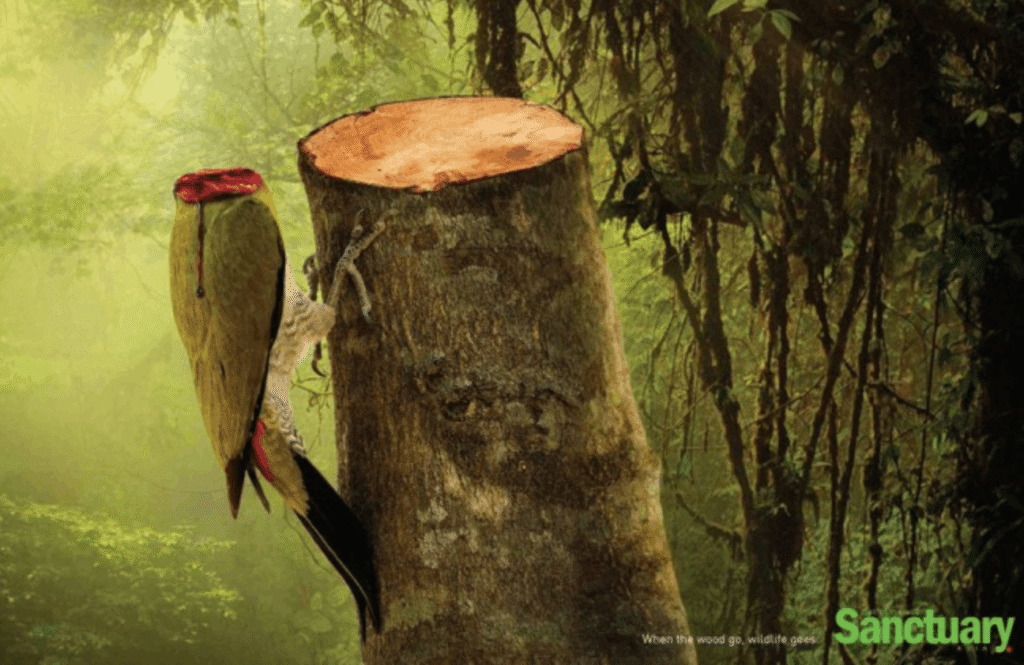 Creative Ad Design Ideas