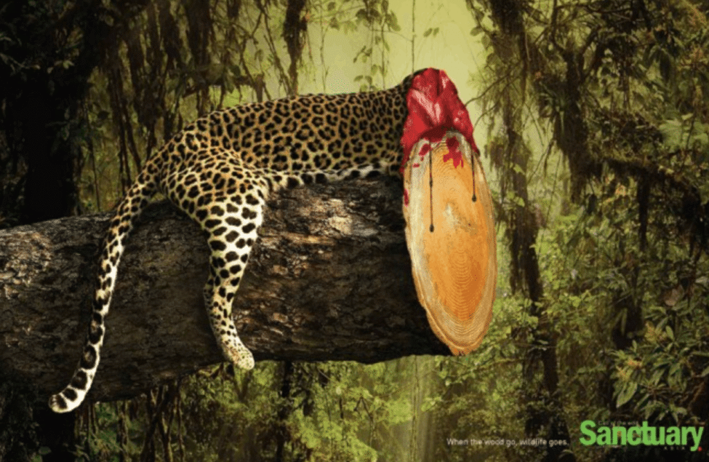 Creative Ad Design Ideas